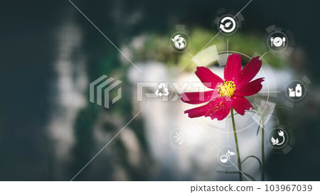 Blured green leave background and Smart technology with Internet of things futuristic agriculture concept, Sustainable energy, Metaverse, AI Futuristic Smart virtual interface. Blured green leave background and Smart technology with Internet of things futuristic agriculture concept, Sustainable energy, Metaverse, AI Futuristic Smart virtual interface. 103967039