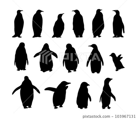 Penguin Collection. Realistic polar animal silhouette set Penguin Collection. Realistic polar animal silhouette set 103967131