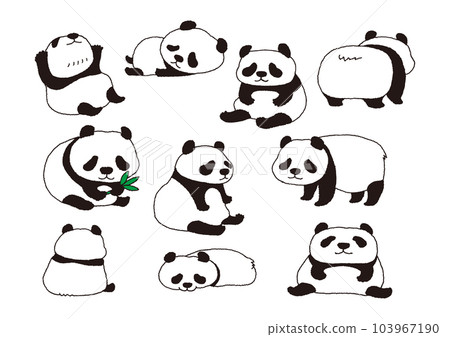 cute panda pose collection hand drawn illustration cute panda pose collection hand drawn illustration 103967190