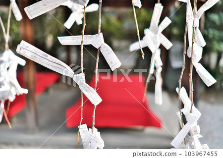 Omikuji 祝你好運 103967455