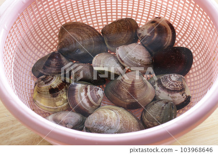 Preparing clear clam juice 103968646