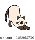 一隻貓伸展的插圖 103968730