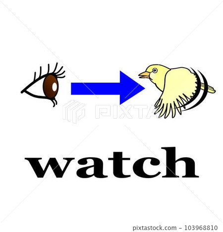 Conceptual illustration of the English word watch 103968810