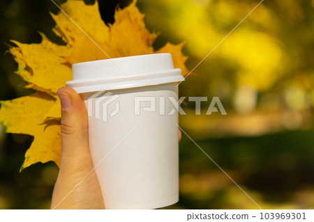 Woman holding Eco zero waste white paper cup copy space mockup Fall autumnal maple yellow leaf. Cup of tea coffee to go. Hot take away drink cozy mood rest holiday. Coffee break lifestyle Woman holding Eco zero waste white paper cup copy space mockup Fall autumnal maple yellow leaf. Cup of tea coffee to go. Hot take away drink cozy mood rest holiday. Coffee break lifestyle 103969301