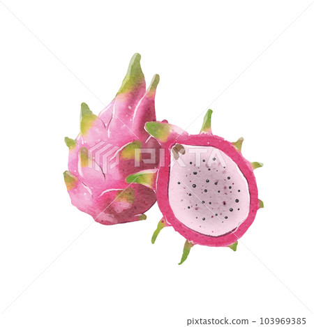 Dragon fruit  103969385