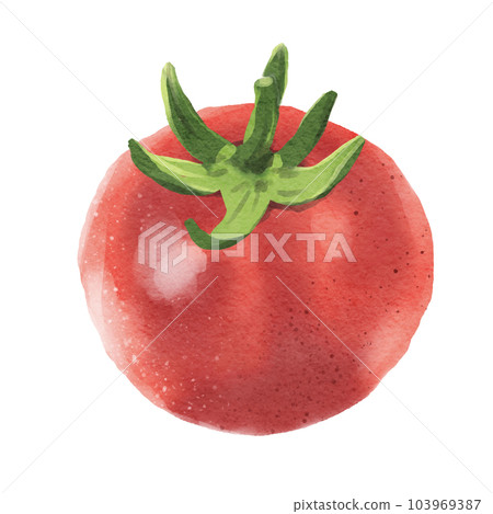 tomato  103969387