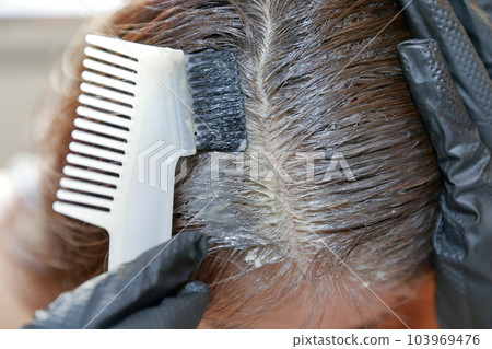 A woman dyeing her gray hair with a brush 103969476