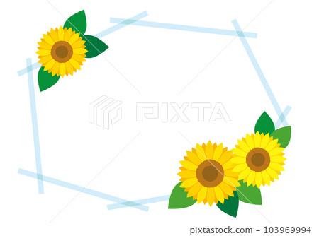 Sunflower cross line transparent frame background / light blue 103969994