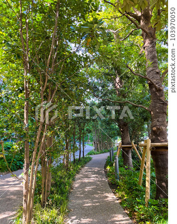 Image of approach of a large condominium Image of approach of a large condominium 103970050