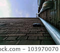 scenes for the background 001 103970070