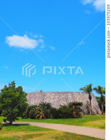 在海中路上行駛時想去的道路公園。沖繩縣宇流麻市。 在海中路上行駛時想去的道路公園。沖繩縣宇流麻市。 103970209