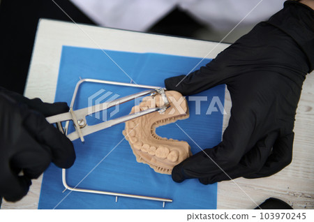 Directly above doctor othodontist working with plaster cast of human jaw. Close-up hands in black gloves of a dental technician working with a jaw model. Dental gypsum model. Dentistry. Orthodontics Directly above doctor othodontist working with plaster cast of human jaw. Close-up hands in black gloves of a dental technician working with a jaw model. Dental gypsum model. Dentistry. Orthodontics 103970245