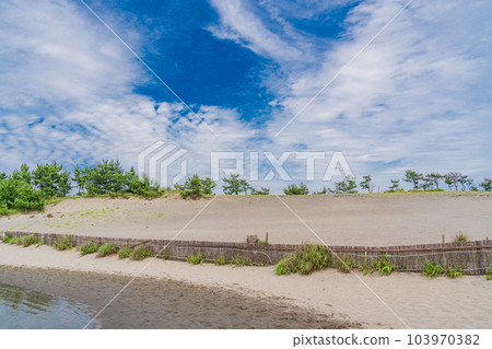 (Shizuoka Prefecture) Nakatajima sand dune 103970382