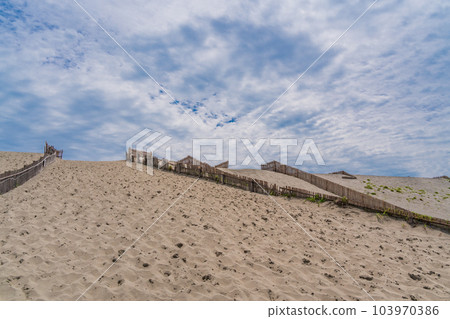 (Shizuoka Prefecture) Nakatajima sand dune 103970386