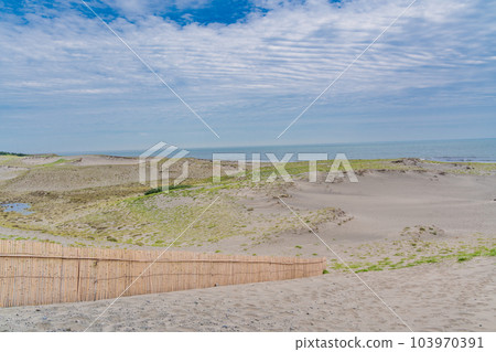 (Shizuoka Prefecture) Nakatajima sand dune (Shizuoka Prefecture) Nakatajima sand dune 103970391