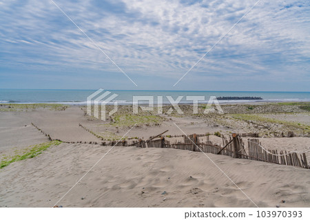 （靜岡縣）中島沙丘 103970393