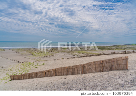 (Shizuoka Prefecture) Nakatajima sand dune (Shizuoka Prefecture) Nakatajima sand dune 103970394