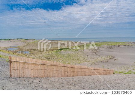 (Shizuoka Prefecture) Nakatajima sand dune 103970400