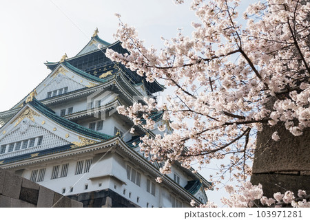 Spring of Osaka Castle Park 103971281