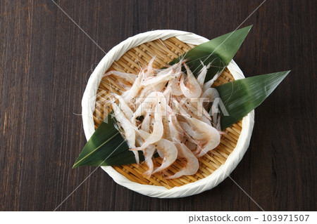 碗裡的生白蝦 103971507