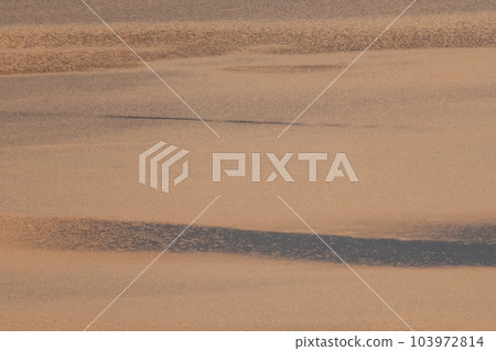 Scenery where the water surface of the lake shines in the morning sun 103972814