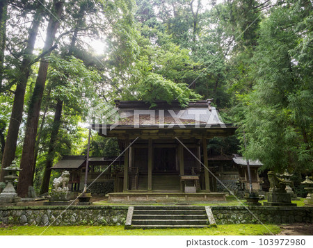 Asuka Kawakamiza Usutakihime Shrine surrounded by fresh greenery Asuka Kawakamiza Usutakihime Shrine surrounded by fresh greenery 103972980