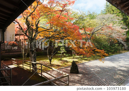 Kumano Kodo temple garden and autumn leaves. Koyasan Kumano Kodo temple garden and autumn leaves. Koyasan 103973180