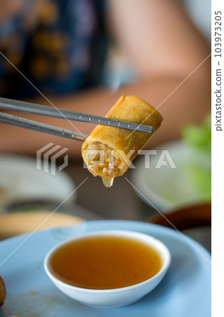 Fried spring rolls on a white plate and spicy sauce Fried spring rolls on a white plate and spicy sauce 103973205