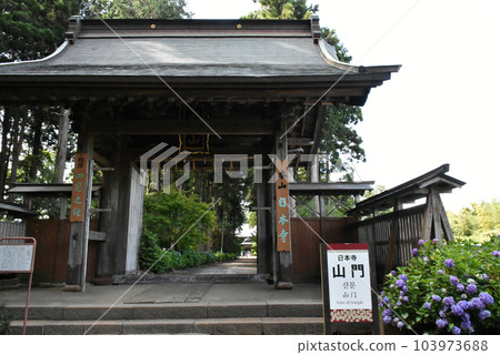 千葉縣香取區多古鎮日本寺廟的繡球花和寺廟門 103973688