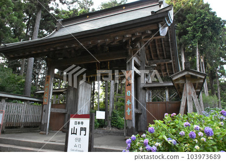 千葉縣香取區多古鎮日本寺廟的繡球花和寺廟門 千葉縣香取區多古鎮日本寺廟的繡球花和寺廟門 103973689