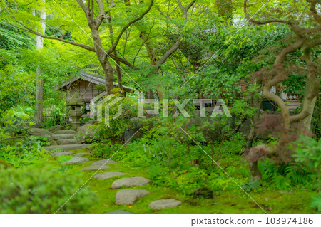 [神奈川縣]被清新的綠色包圍的Kakuonji寺院內*拍攝合作“Kakuonji”財產發布獲得 103974186