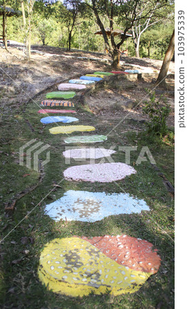 Colorful stepping stone pathway laying on the ground at garden or park. Colorful stepping stone pathway laying on the ground at garden or park. 103975339