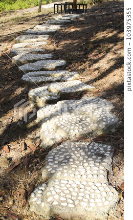 White nature stepping stone pathway laying on the ground at garden or park. White nature stepping stone pathway laying on the ground at garden or park. 103975355