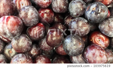 Pile of Syzygium cumini or java plum or black plum display at the market. 103975619