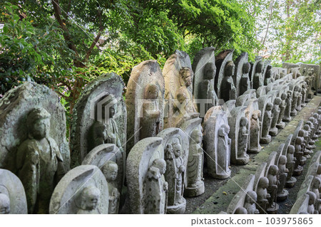 鎌倉市長谷寺 103975865