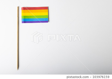 Overhead view of rainbow flag with stick isolated on white background, copy space Overhead view of rainbow flag with stick isolated on white background, copy space 103976159