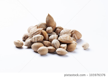Almonds with shell, Prunus amygdalus, Satara, Maharastra, India 103976376