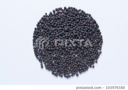 Black mustard seeds, Brassica nigra Satar, Maharashtra, India Black mustard seeds, Brassica nigra Satar, Maharashtra, India 103976380