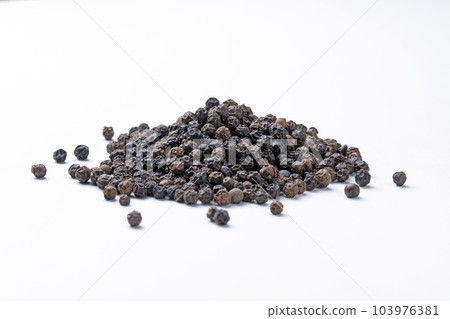 Black pepper, Piper nigrum, Satara, Maharashtra, India 103976381