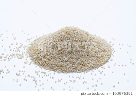 Vetiver and khus is a perennial bunchgrass of the family Poaceae. Chrysopogon zizanioides, Satara, Maharashtra, India Vetiver and khus is a perennial bunchgrass of the family Poaceae. Chrysopogon zizanioides, Satara, Maharashtra, India 103976391