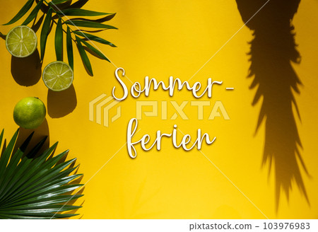Summer Flat Lay, Tropical Fruits, Text Sommerferien Means Summer Vacation Summer Flat Lay, Tropical Fruits, Text Sommerferien Means Summer Vacation 103976983