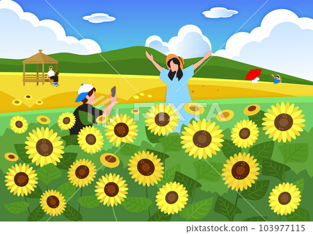 background of summer scenery, taking pictures of sunflowers background of summer scenery, taking pictures of sunflowers 103977115