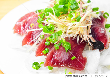 鰹魚 鰹魚 103977397
