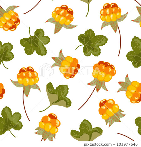 Cloudberry vector seamless pattern. Nordic yellow orange berries background. Scandinavian fruit with leaves isolated on white. Cartoon arctic tundra healthy food illustration for packaging, textile Cloudberry vector seamless pattern. Nordic yellow orange berries background. Scandinavian fruit with leaves isolated on white. Cartoon arctic tundra healthy food illustration for packaging, textile 103977646