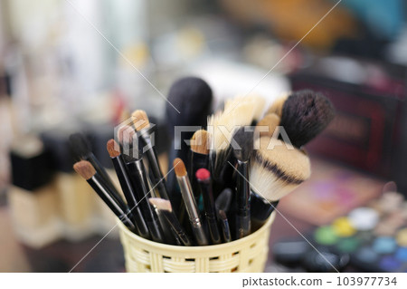 Closeup of brushes used for makeup, Pune, Maharashtra, India.jpg 103977734