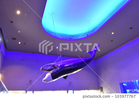 Toba Aquarium Toba Aquarium 103977767