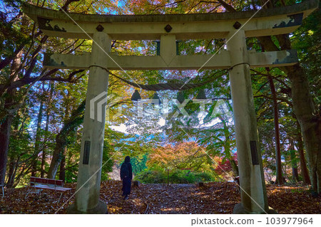 位於埼玉縣長瀞市寶登山山頂的寶登山神社奧宮鳥居(山道旁) 位於埼玉縣長瀞市寶登山山頂的寶登山神社奧宮鳥居(山道旁) 103977964