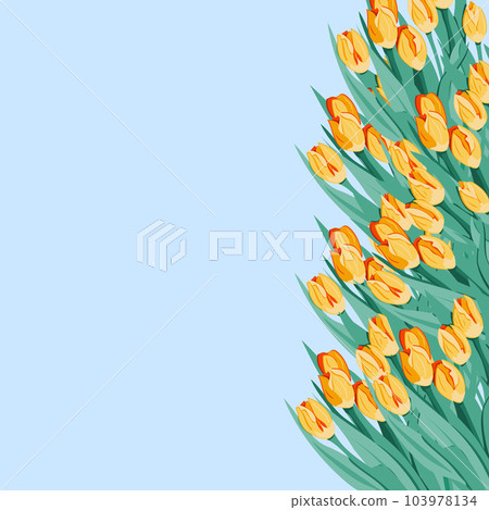 Vector banner with yellow tulip vertical frame Vector banner with yellow tulip vertical frame 103978134