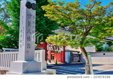 伊賀八幡神社:愛知縣岡崎市 伊賀八幡神社:愛知縣岡崎市 103978166