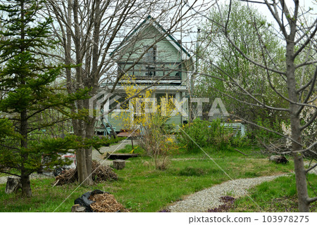 Vintage home garden still life with cottage house, plants, trees and flowers in spring, botanical nature and cottagecore vintage background Vintage home garden still life with cottage house, plants, trees and flowers in spring, botanical nature and cottagecore vintage background 103978275